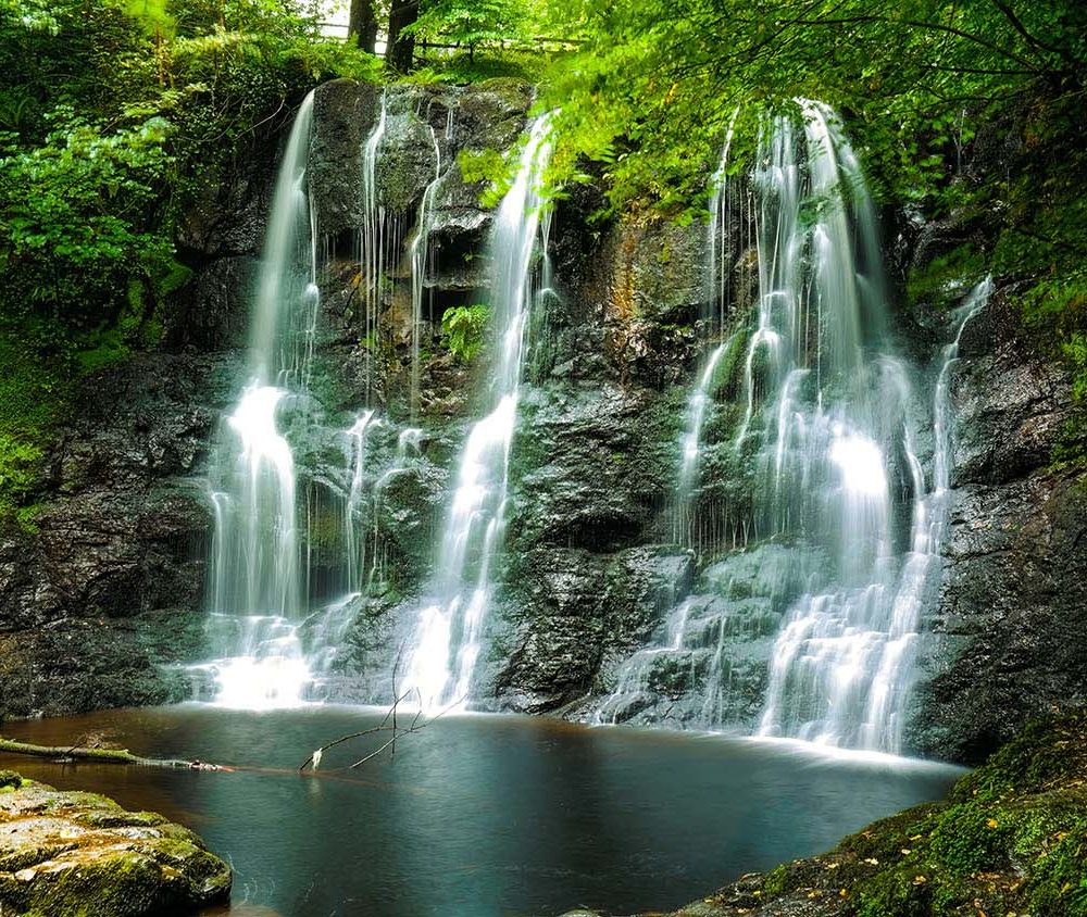 Mysterieus Groen Natuur Behang