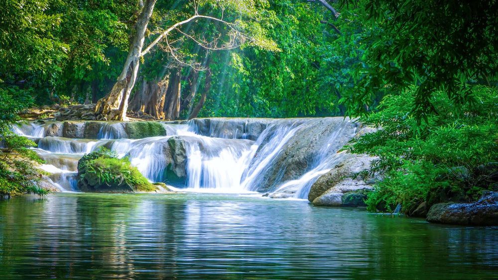 Groen Bos Waterval Natuur Behang