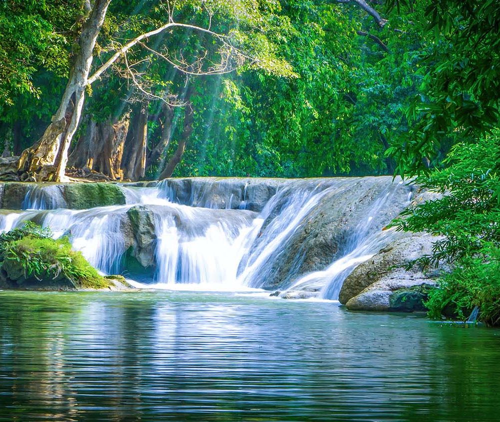 Groen Bos Waterval Natuur Behang