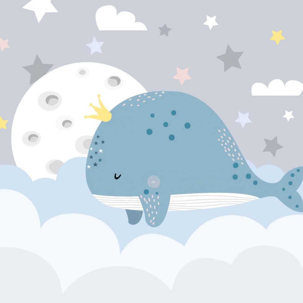 Walvis ruimte behang