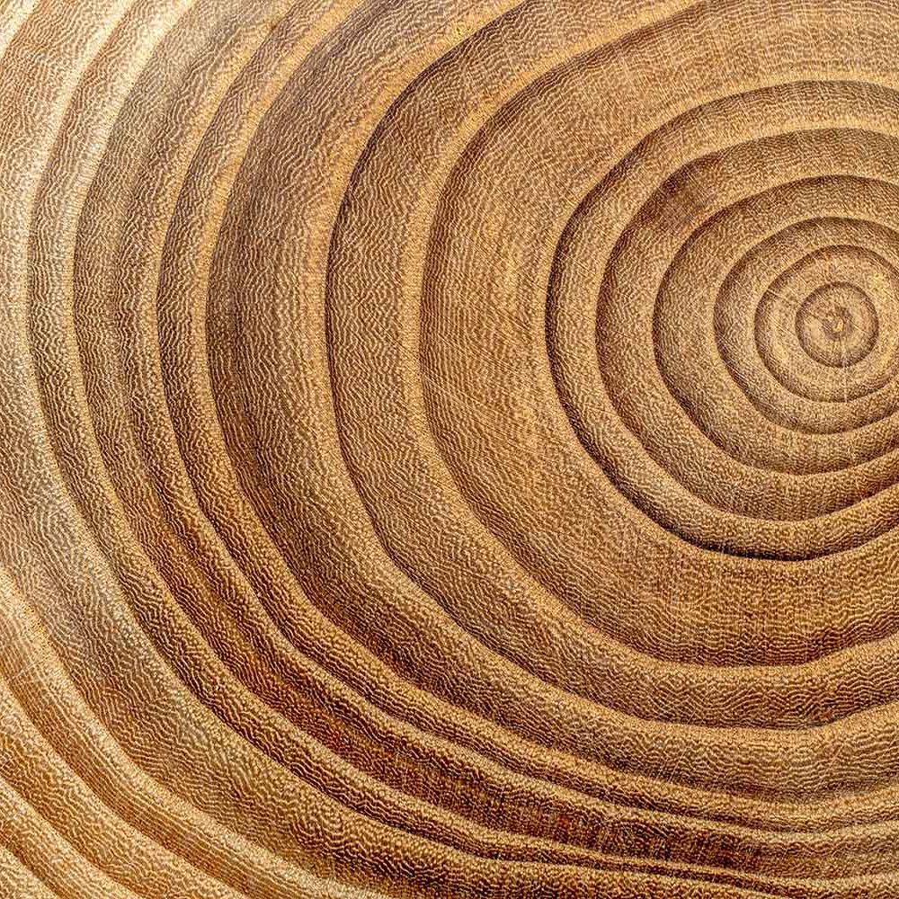 Hout Behang: Natuurlijke Rust