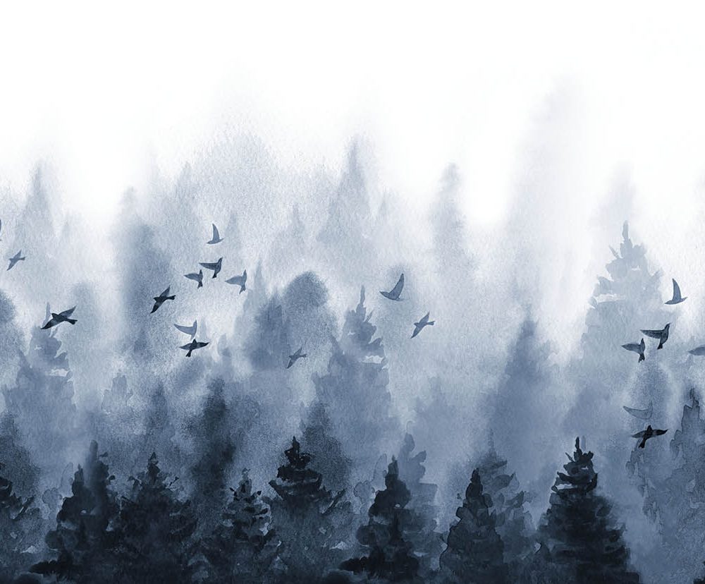 Waterverf Natuurbeleving Behang