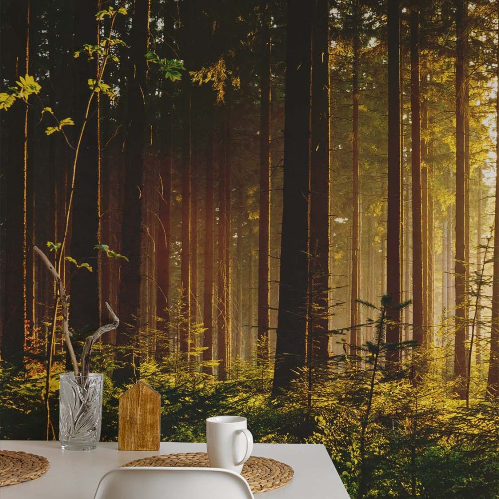 Alternative view of Gouden Natuur Behang met Treinspoor