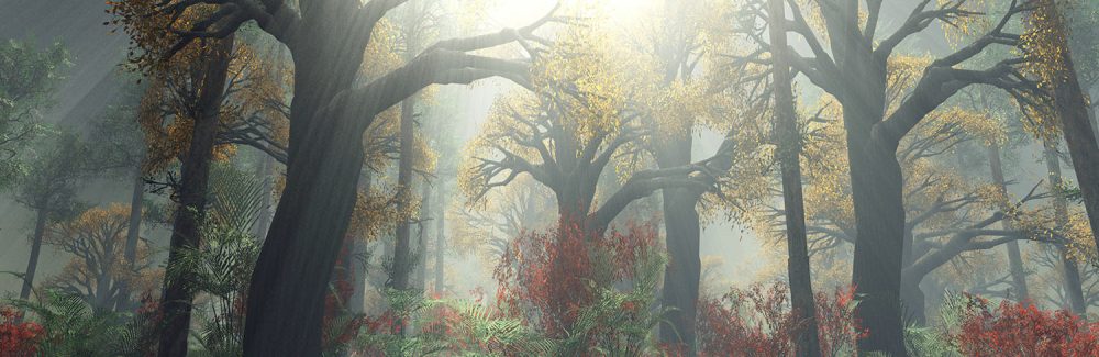 Groen Gouden Natuur Behang – Zonovergoten Bos