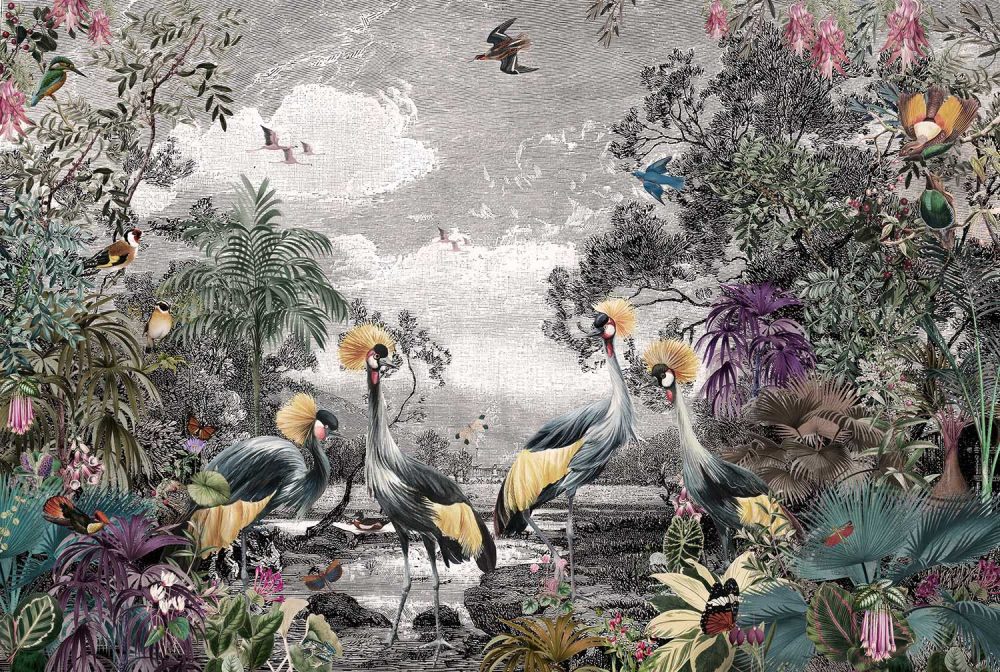 Luxueus Zwart-Wit Dieren Jungle Behang