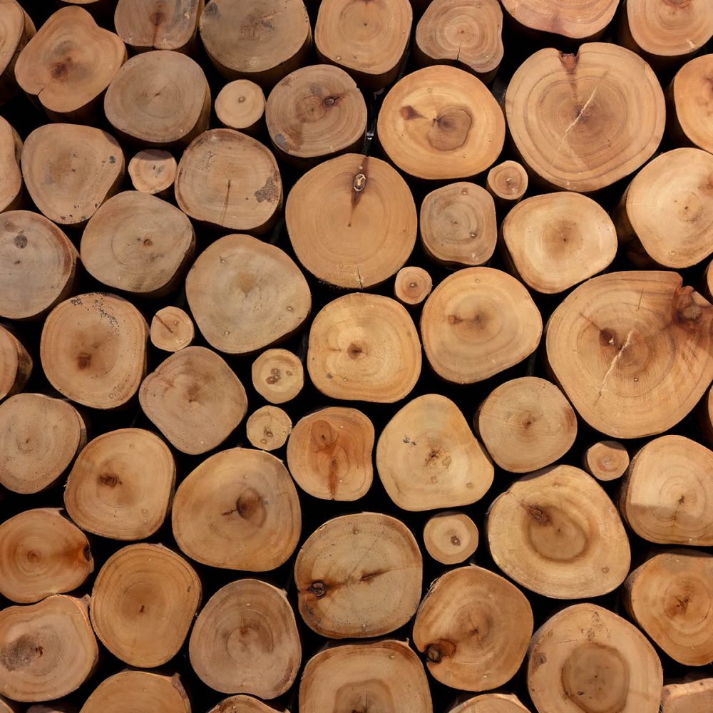 Warme tinten hout behang