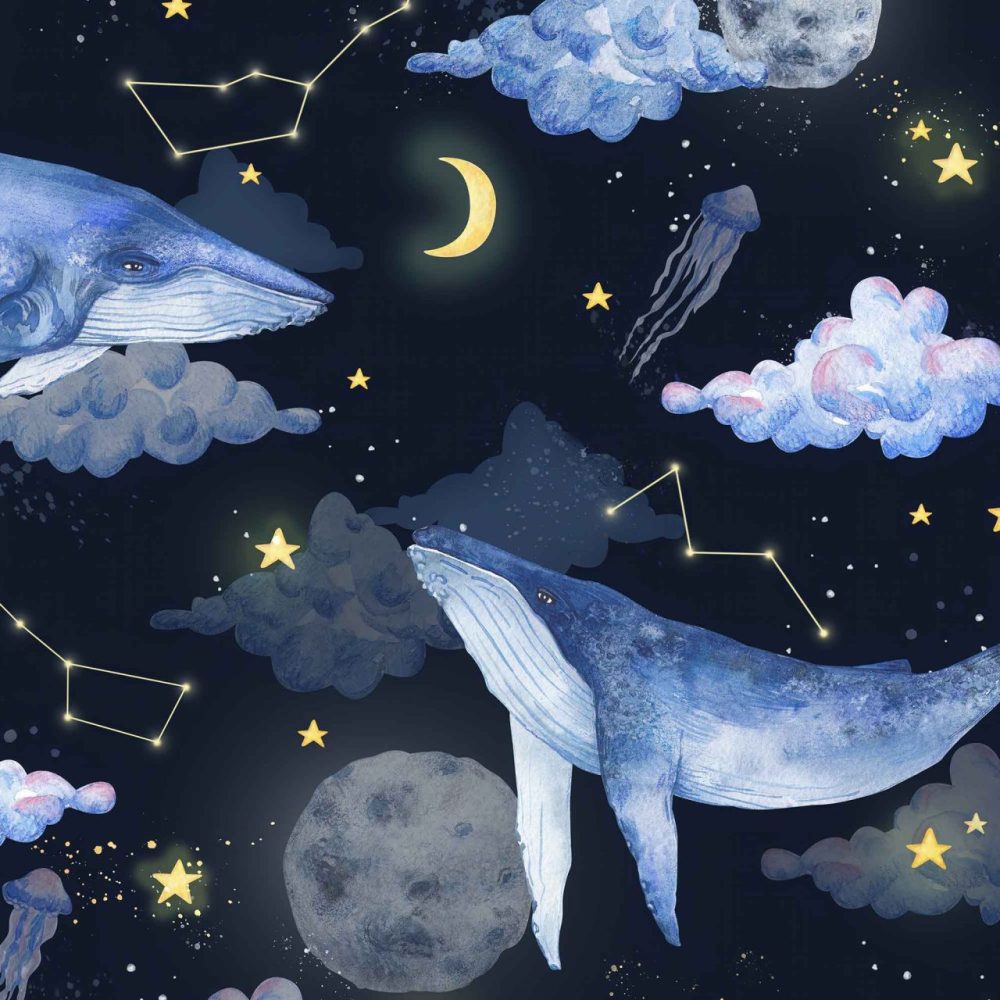 Avontuurlijke Ruimte Kinderbehang