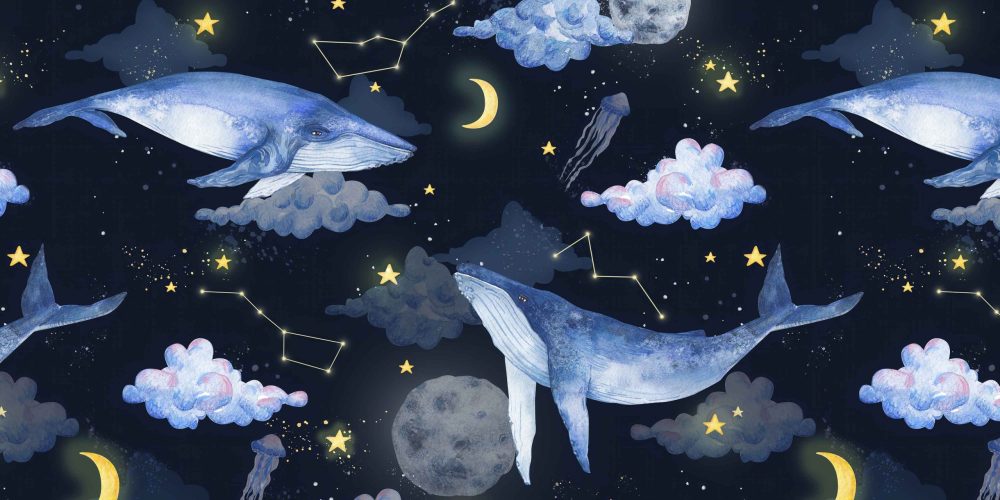 Avontuurlijke Ruimte Kinderbehang