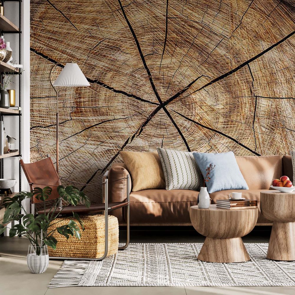 Alternative view of Boostam behang