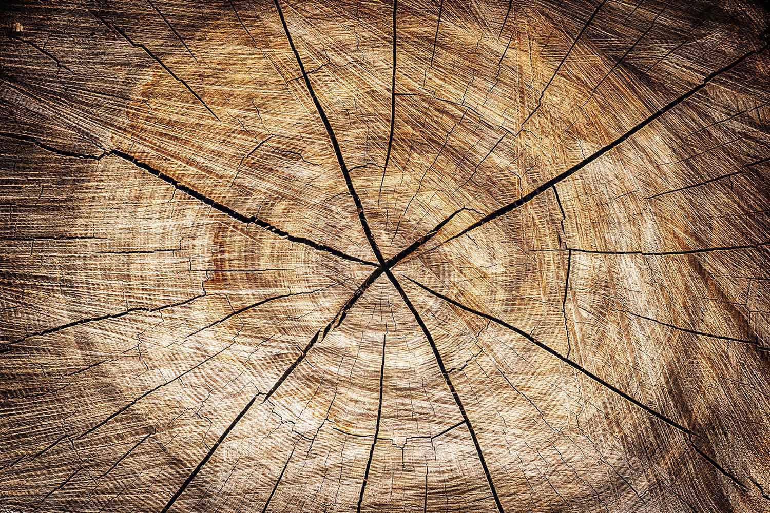 Scandinavisch behang