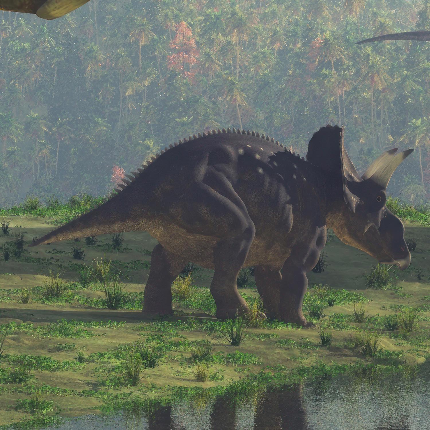 Dino Avontuur Kinderbehang - Afbeelding 5