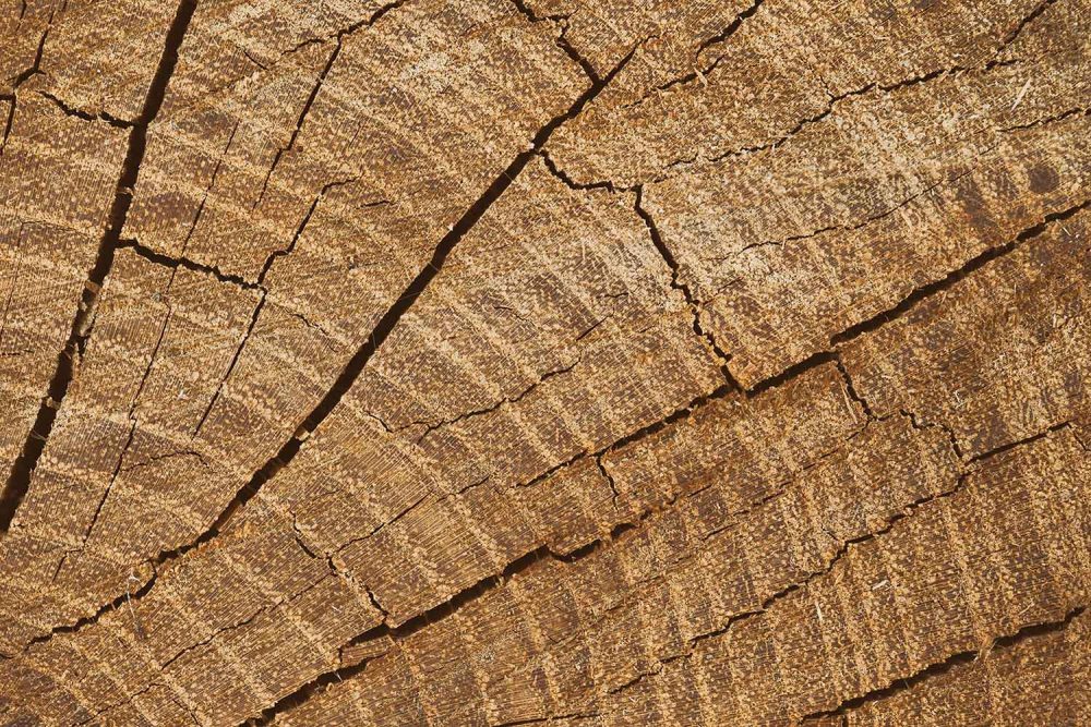 Natuurlijk Hout Behang in bruin.