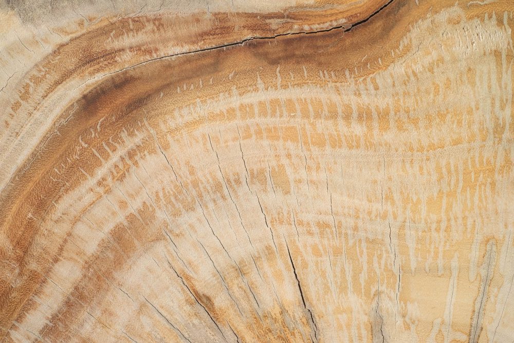 Hout Behang – Natuurlijke Kleur