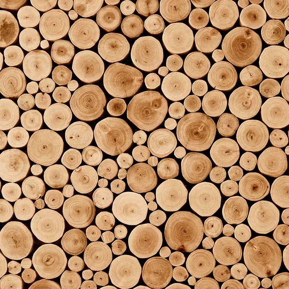 Hout Behang - Natuurlijke Boomstammen