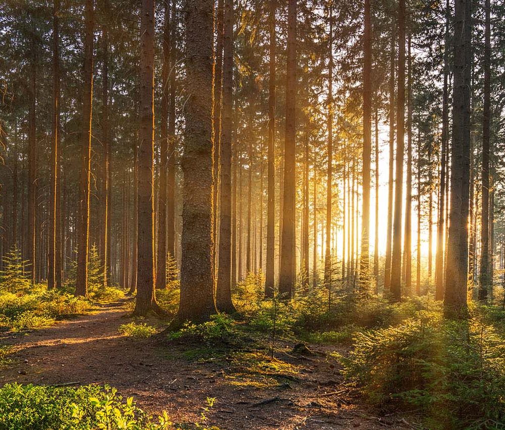 Betoverende Zonsondergang Natuur Behang