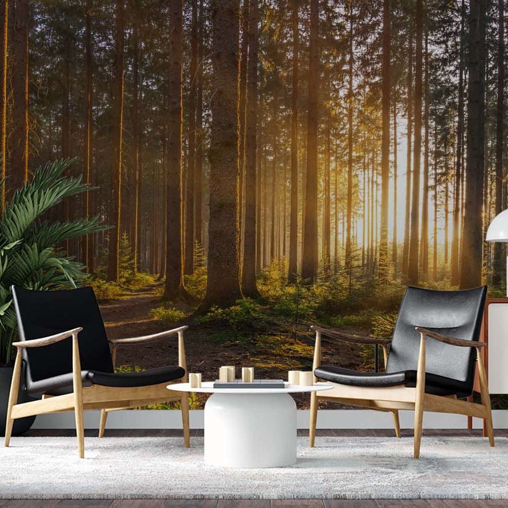 Alternative view of Betoverende Zonsondergang Natuur Behang