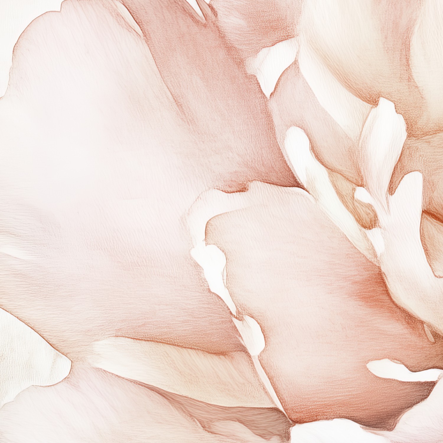 Prachtige roze bloemclose-up behang - Afbeelding 5