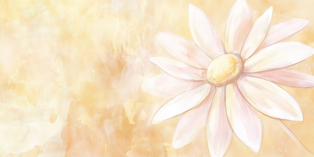 Witte madelief op geel behang