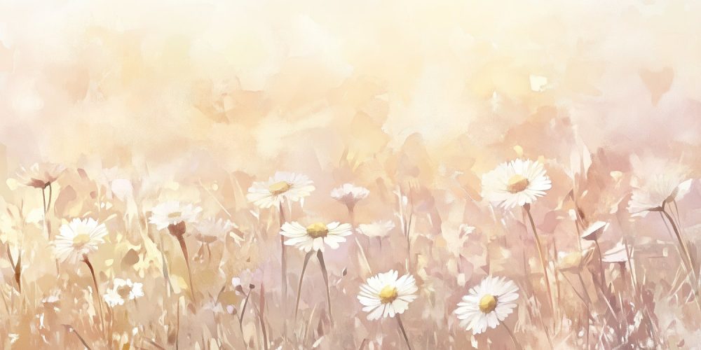 Zacht Pastel Madeliefjesveld behang