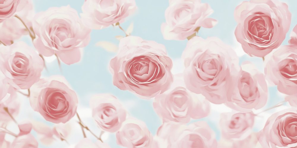 Roze rozen op blauw behang