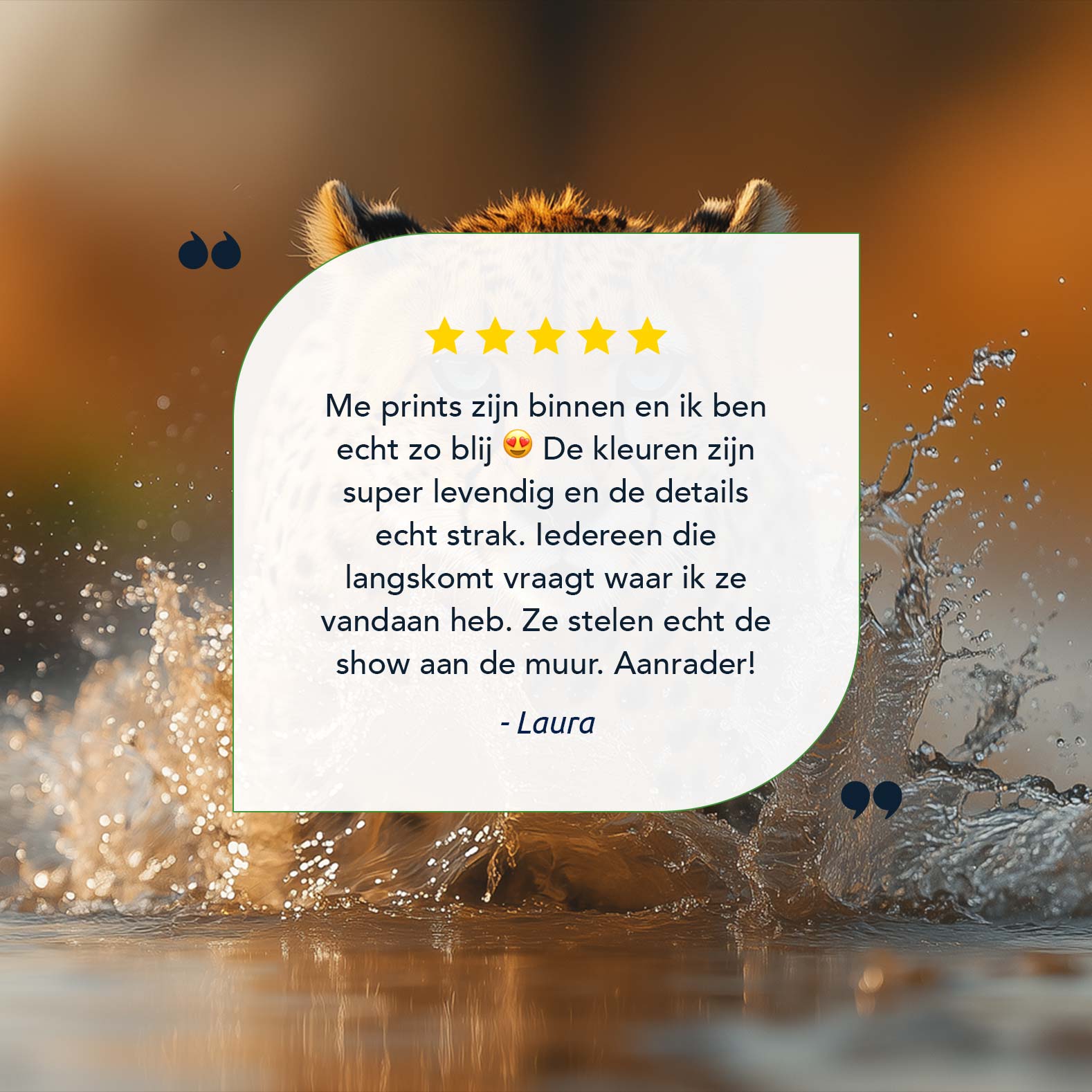 Snelle cheetah in actie - Afbeelding 9