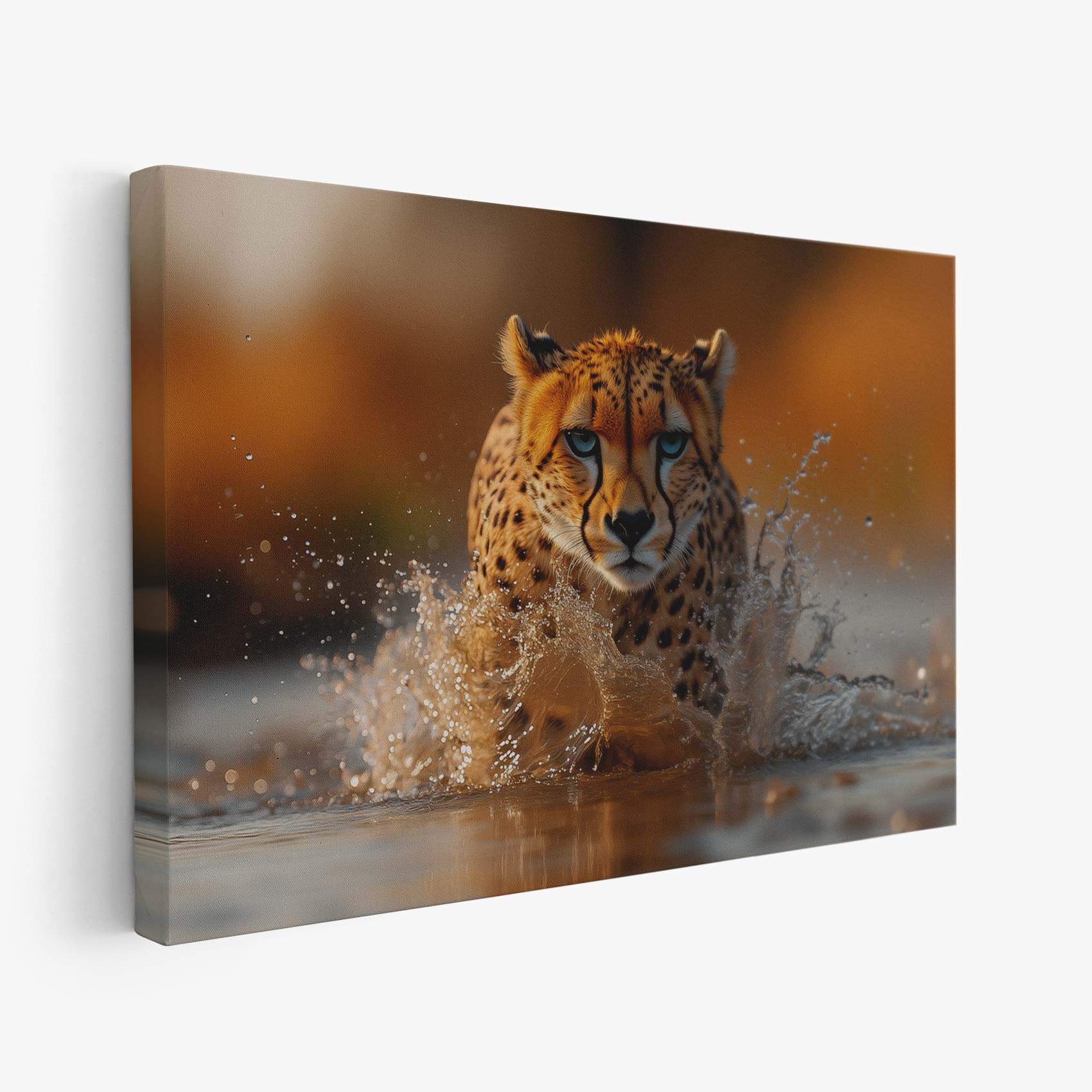 Snelle cheetah in actie