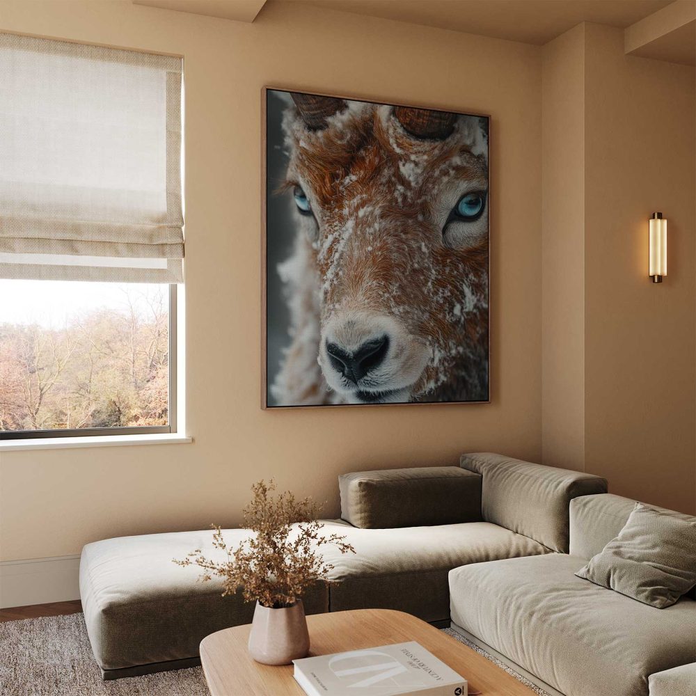 Alternative view of Besneeuwde geit in winter