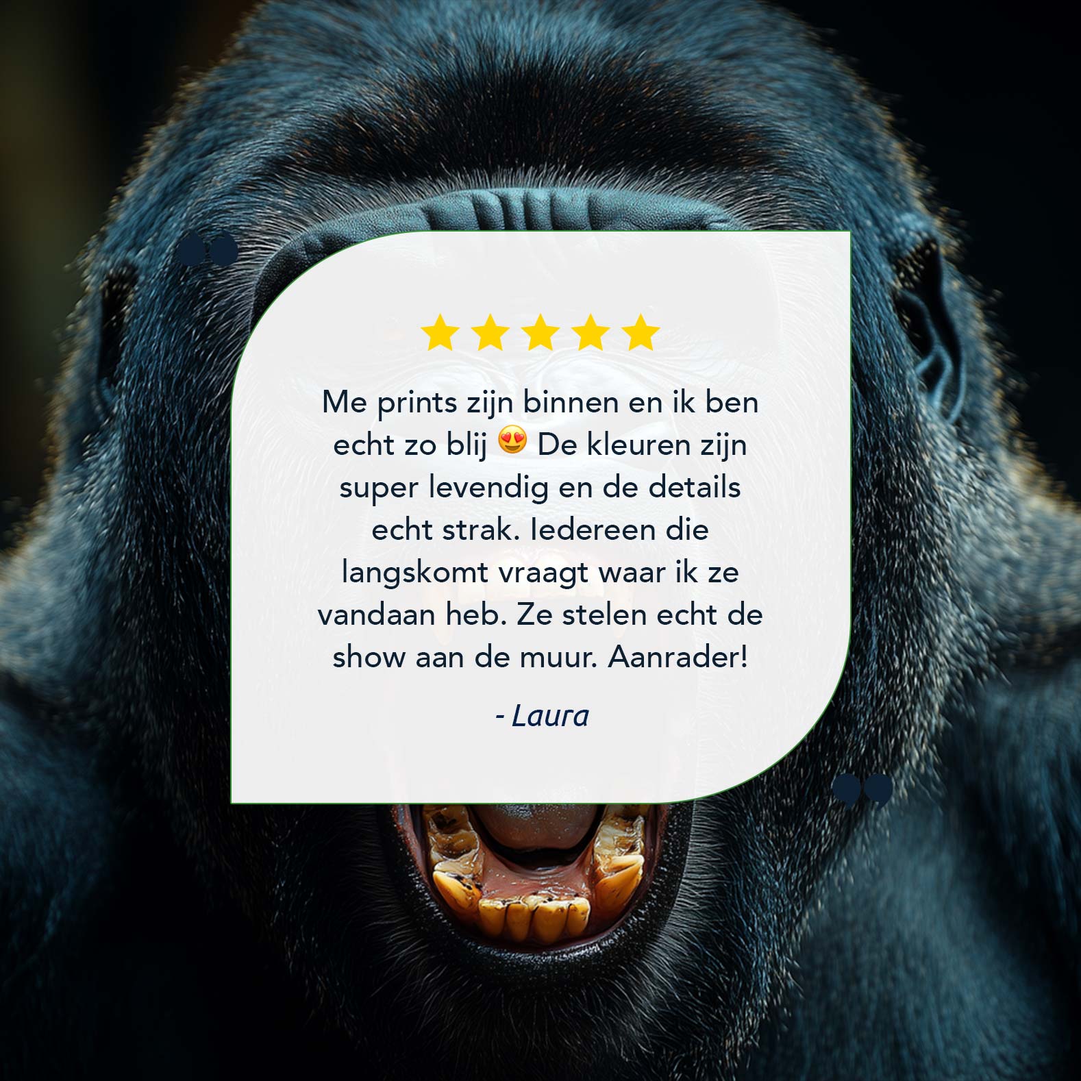 Woeste gorilla brult dreigend - Afbeelding 9