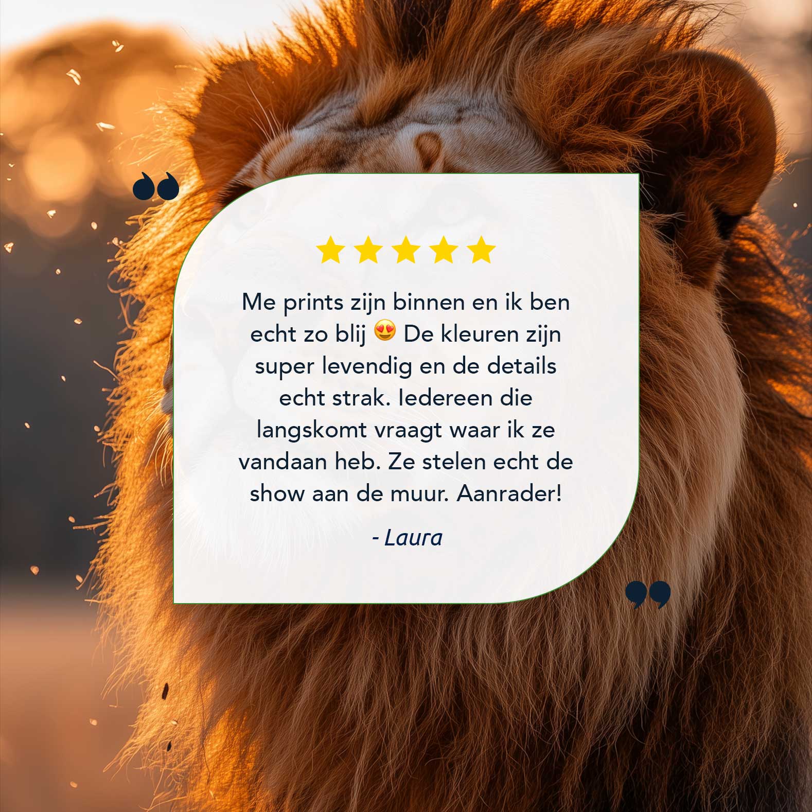 Majestueuze gouden leeuw - Afbeelding 9