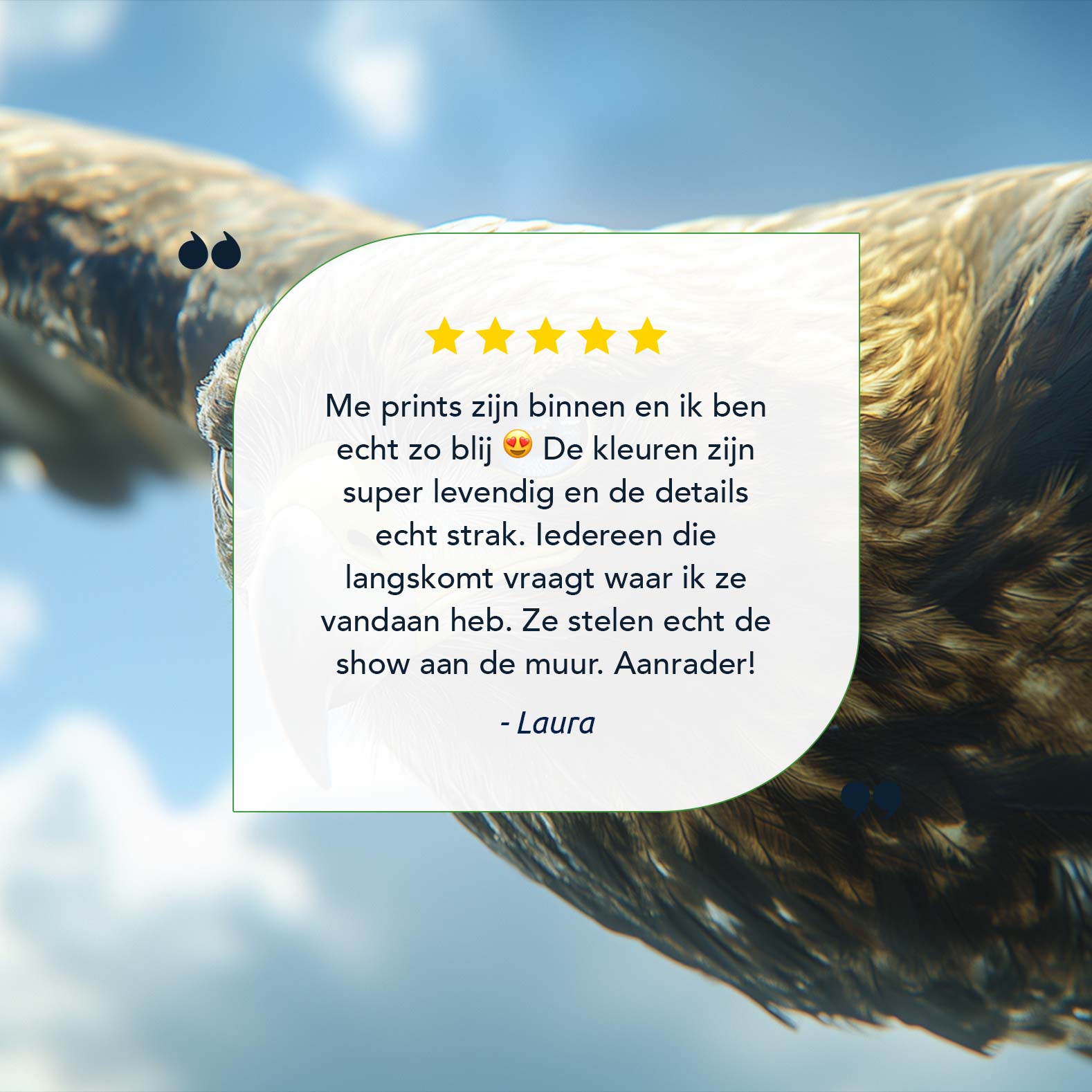 Adelaar zwevend door wolken - Afbeelding 9