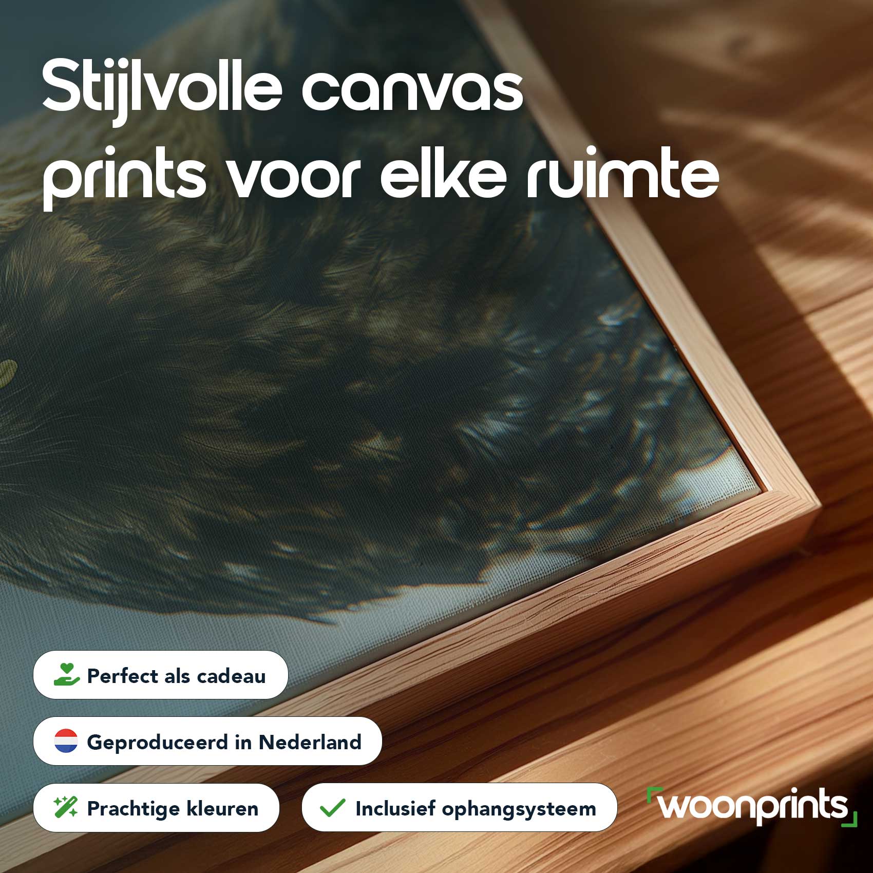 Adelaar zwevend door wolken - Afbeelding 4