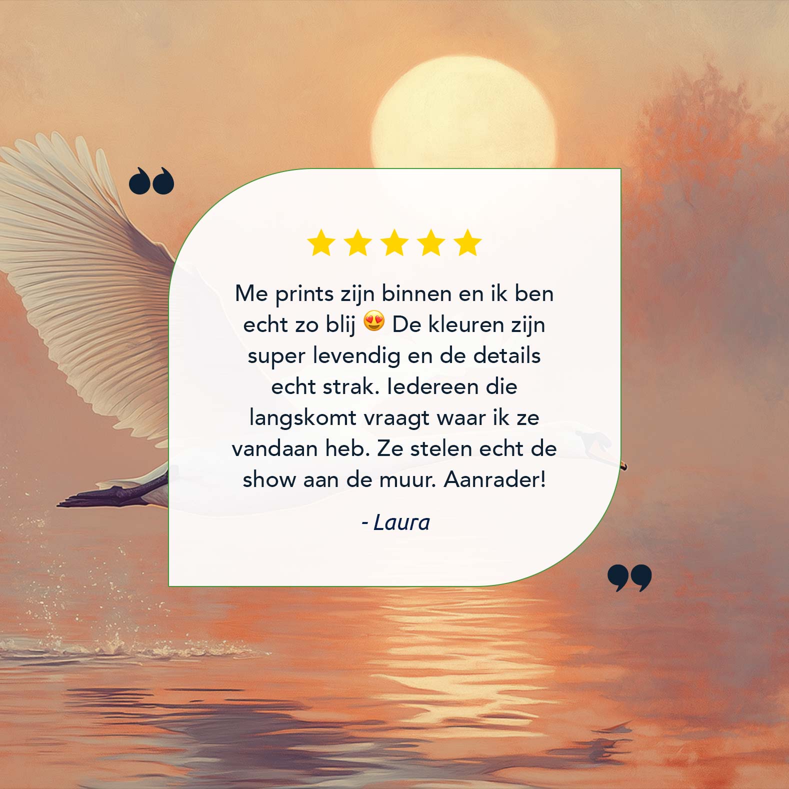 Zwanenvlucht bij Zonsondergang - Afbeelding 9