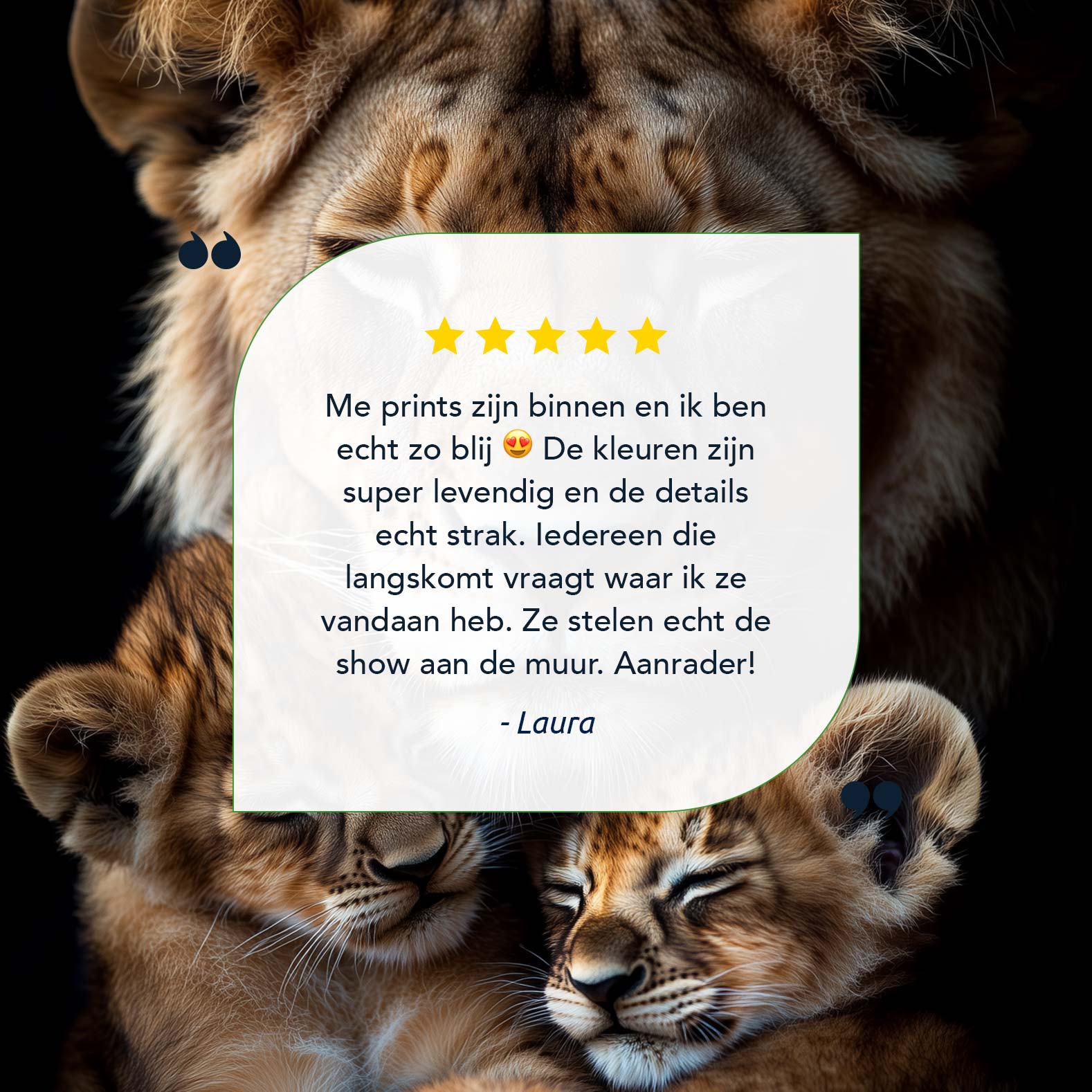 Lioness en welpen knus moment - Afbeelding 9