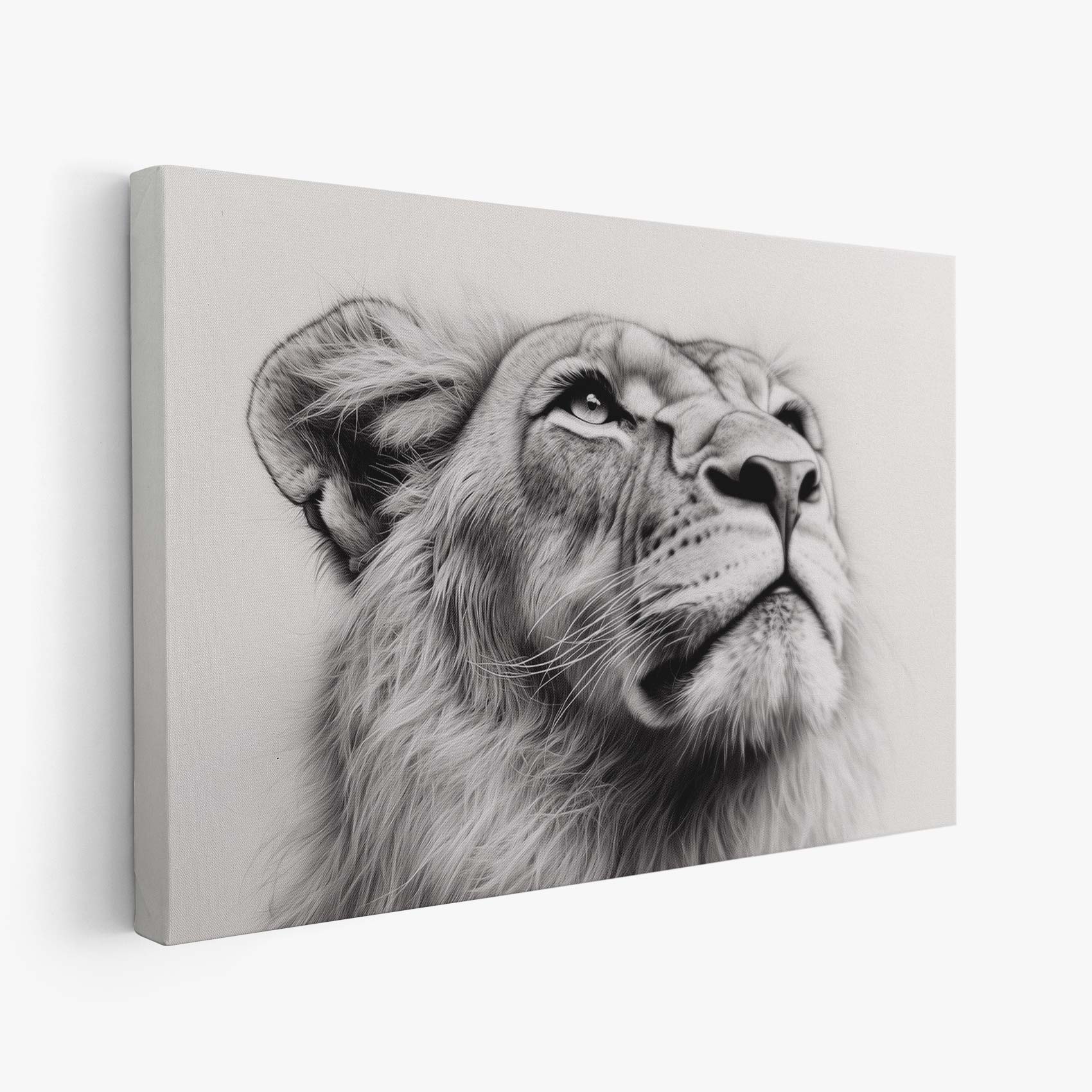 Majestueuze leeuwenportret zwart-wit