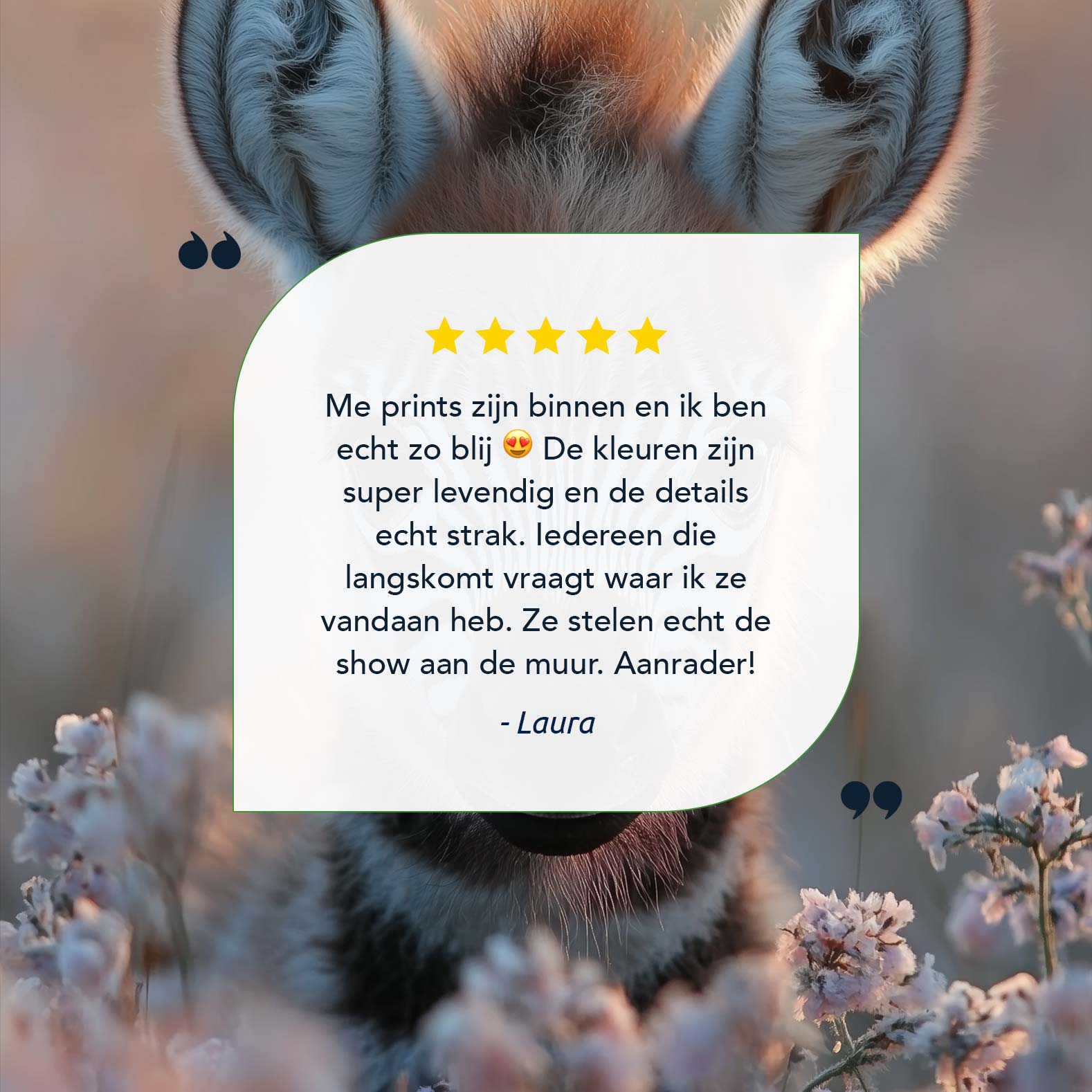 Schattige babyzebra tussen bloemen - Afbeelding 9