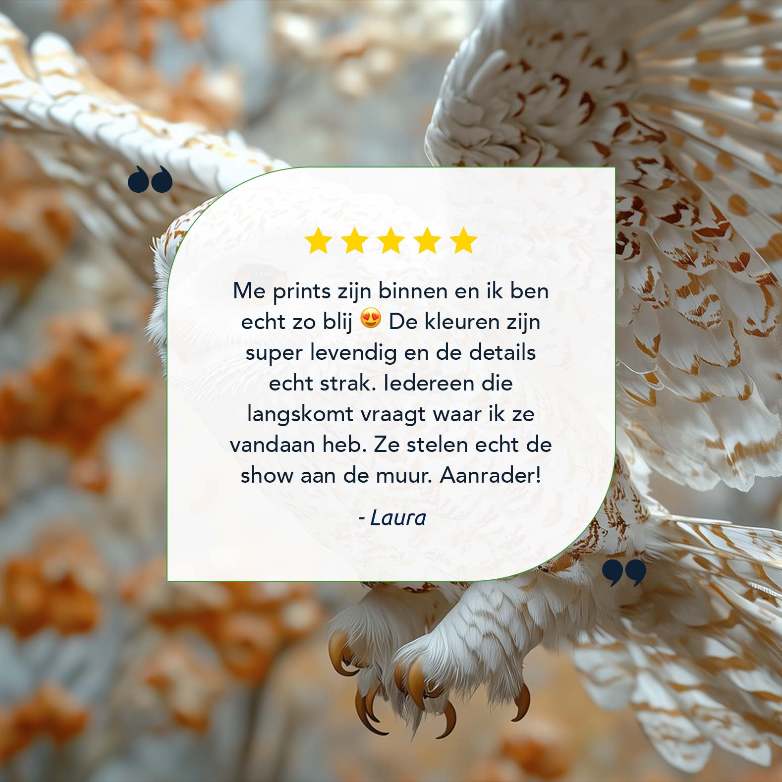 Witte uil in vlucht - Afbeelding 9