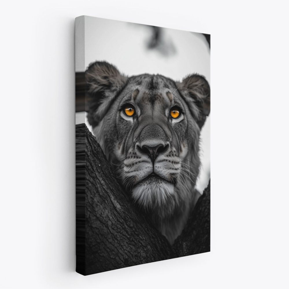 Geelogige leeuw achter boom