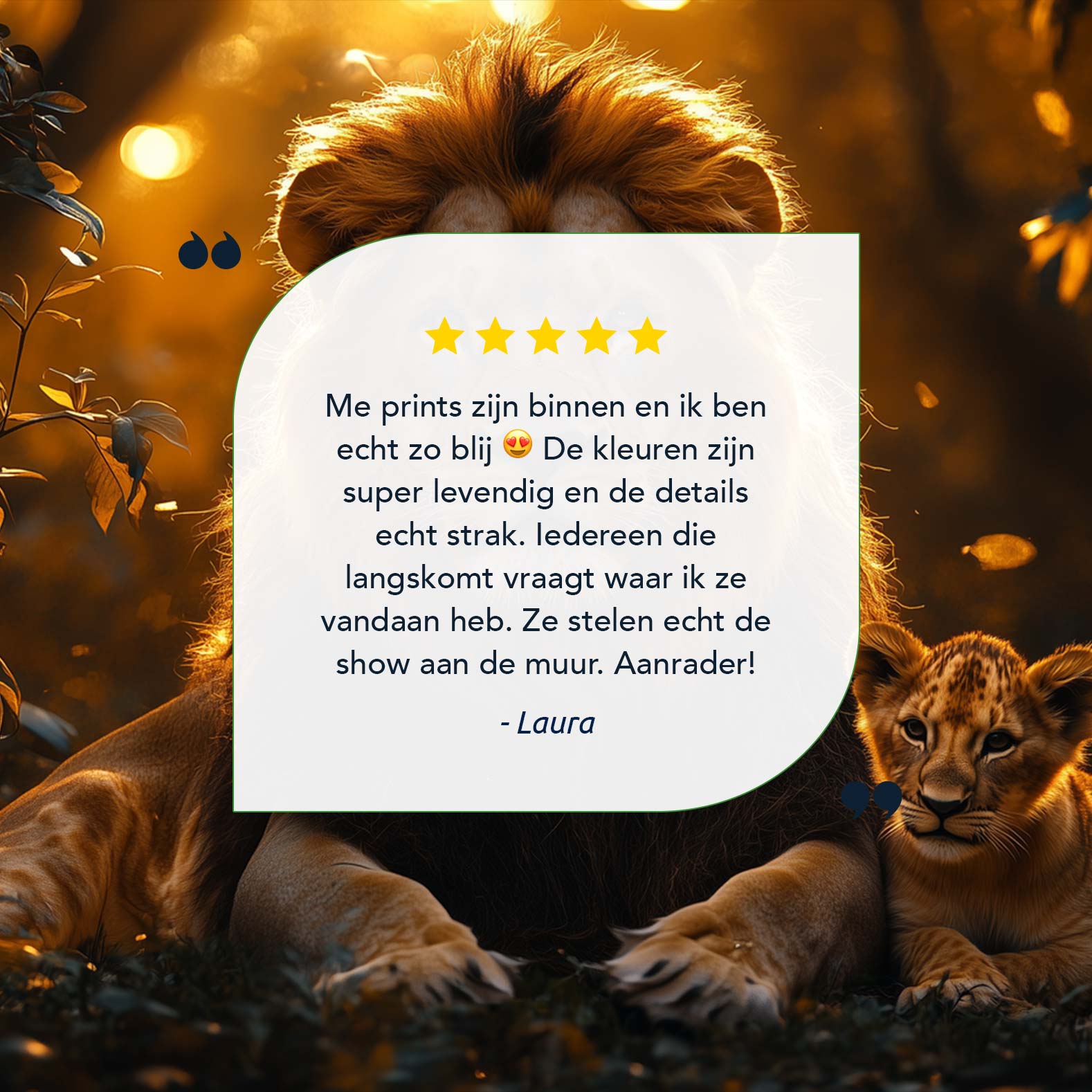 Majestueuze leeuw met welp - Afbeelding 9
