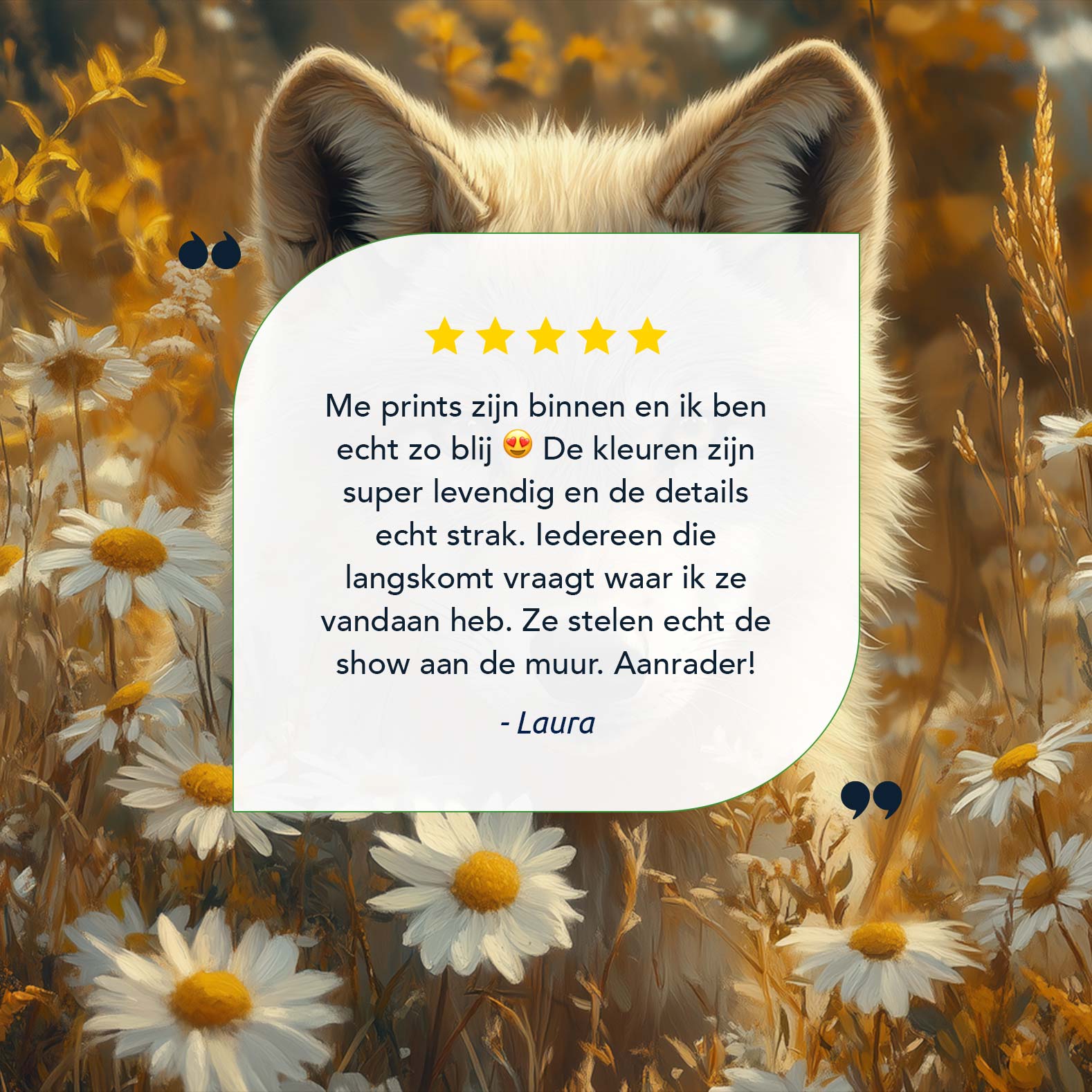 Wolf tussen gele bloemen - Afbeelding 9