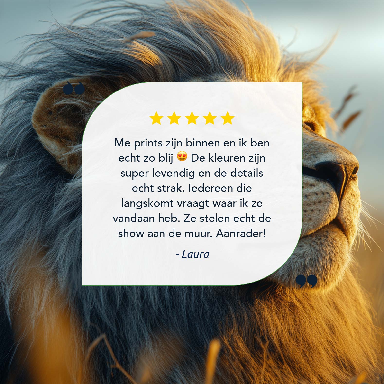 Majestueuze gouden leeuw - Afbeelding 9