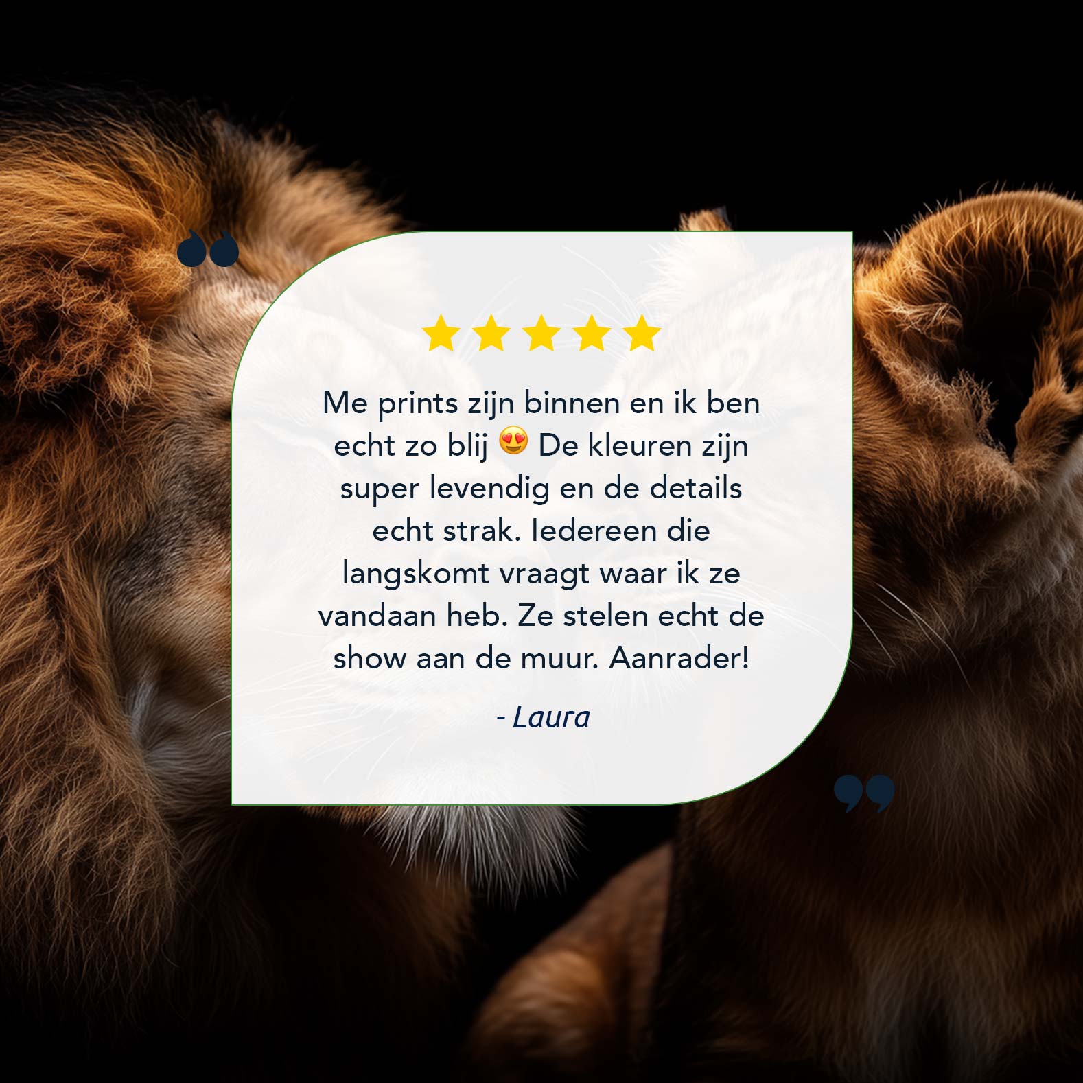 Liefdevolle leeuwenmoeder en welp - Afbeelding 9