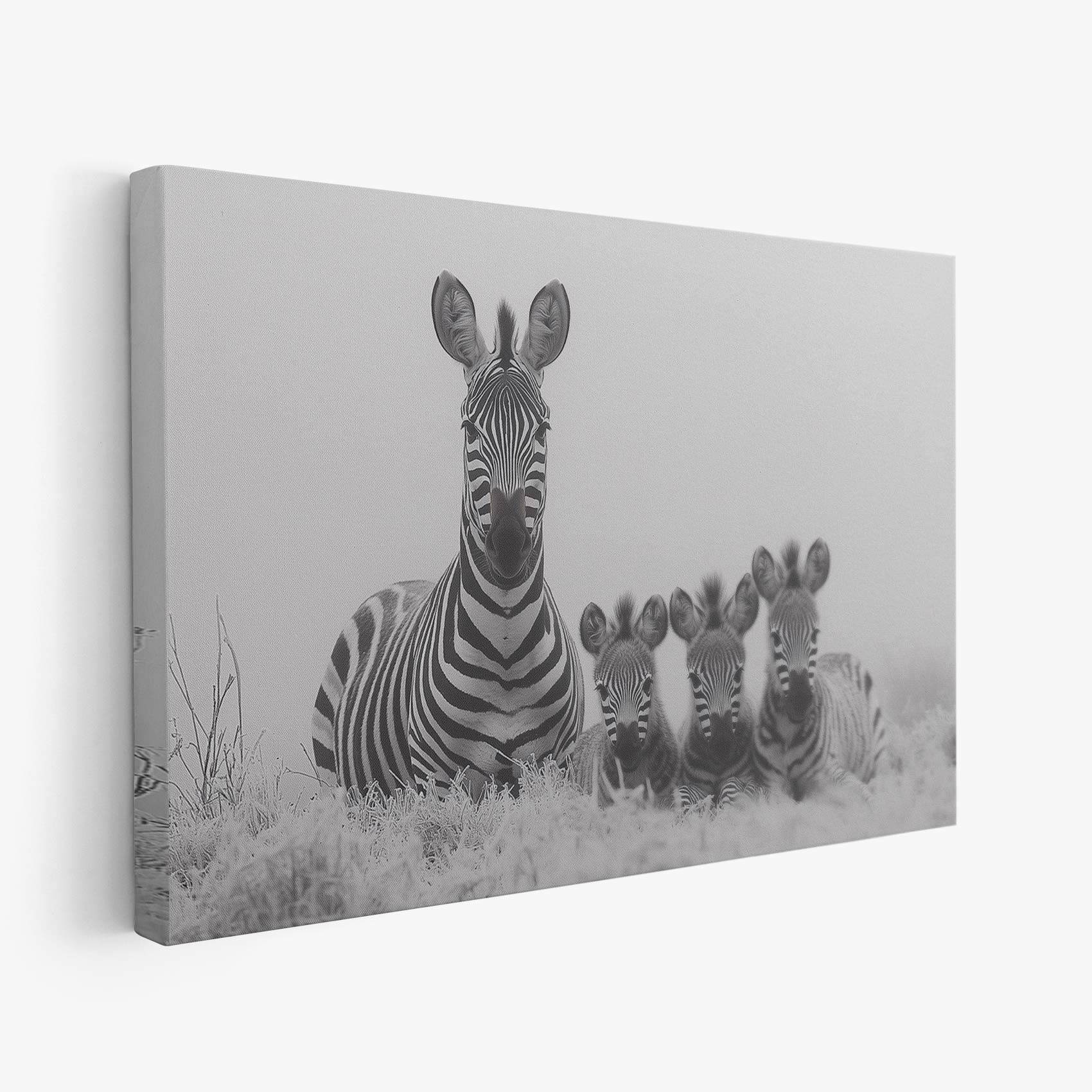 Zwart-witte zebrafamilie in gras