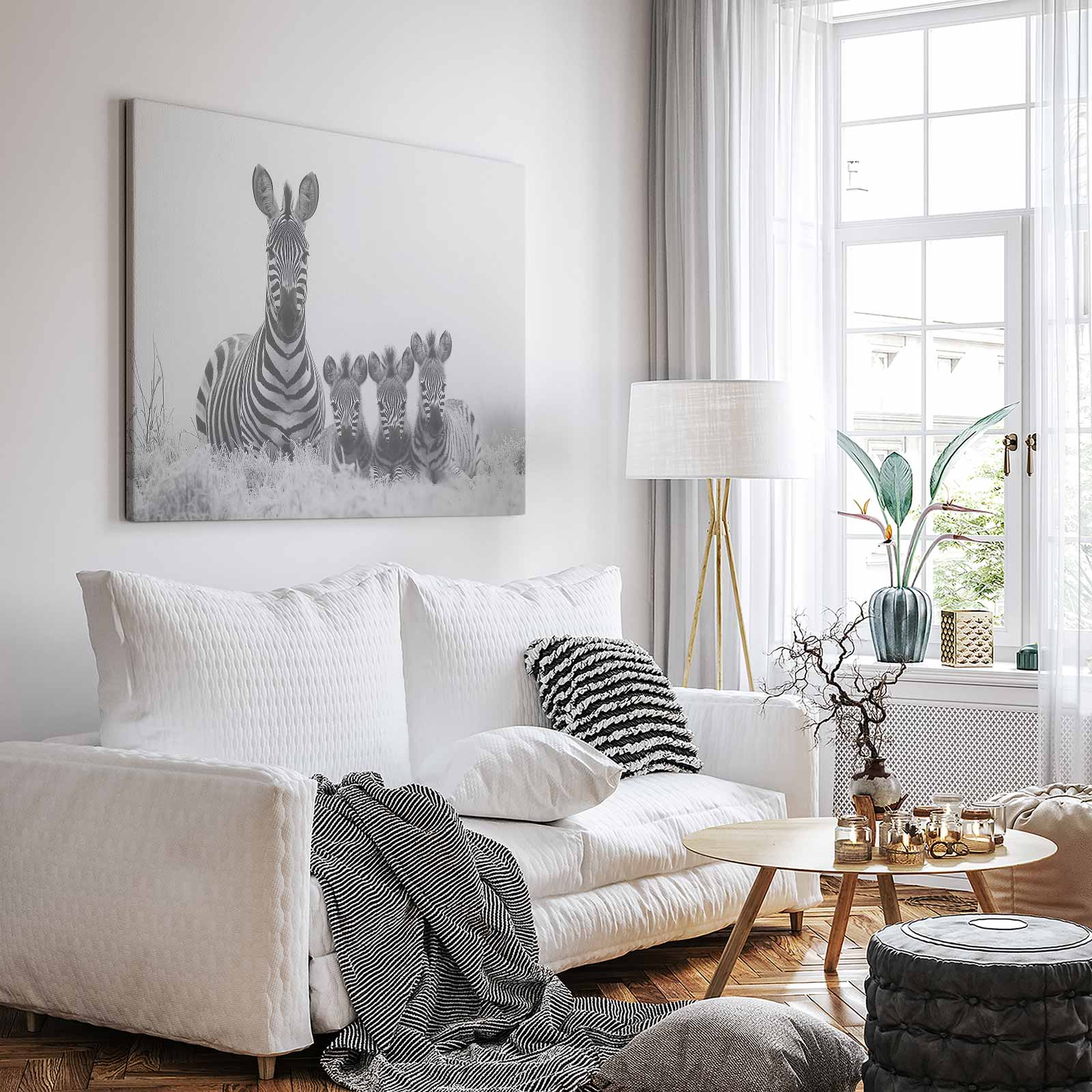 Zwart-witte zebrafamilie in gras - Afbeelding 3