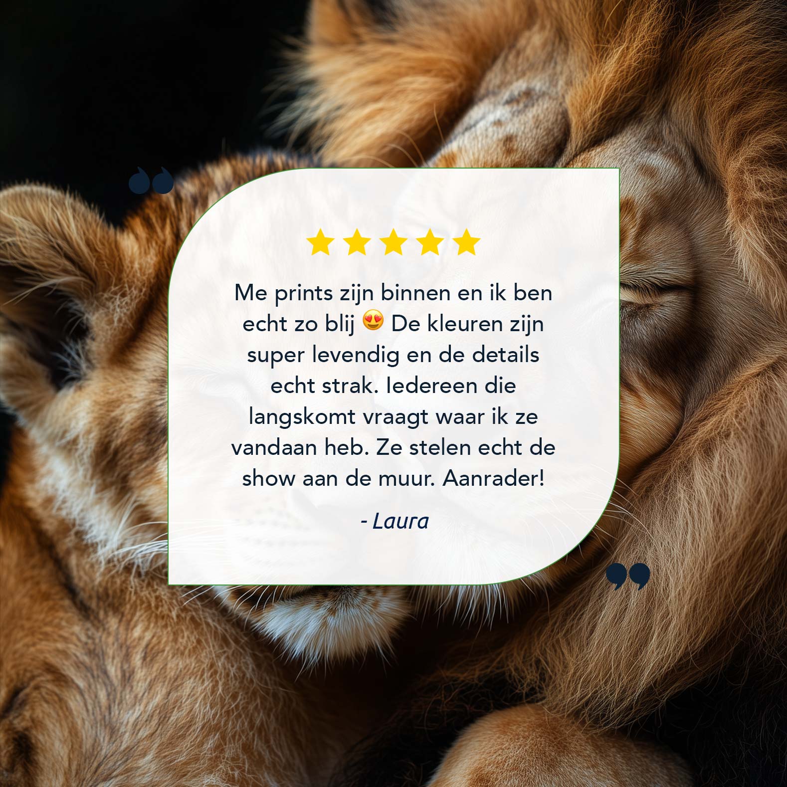 Liefdevolle leeuwenknuffel - Afbeelding 9