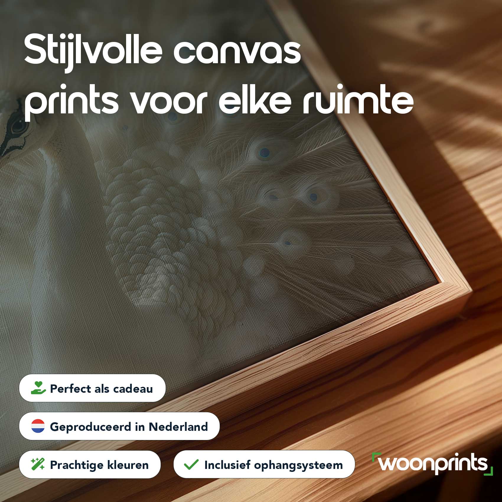 Majestueuze witte pauw - Afbeelding 4