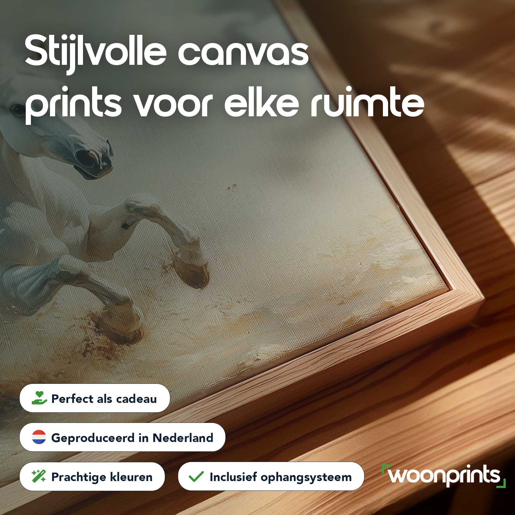 Wit paard in volle galop - Afbeelding 4
