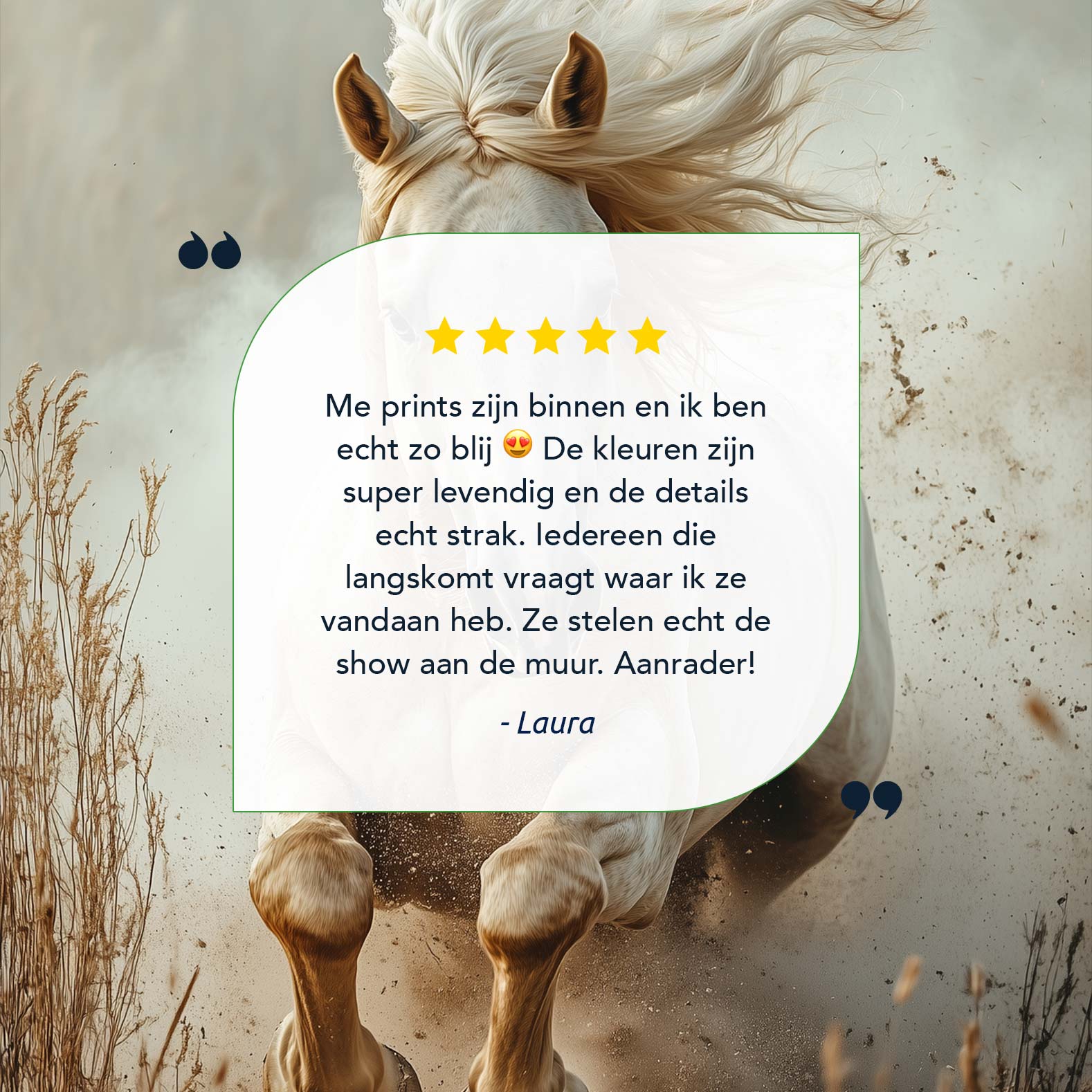 Wilde galopperende witte paard - Afbeelding 9