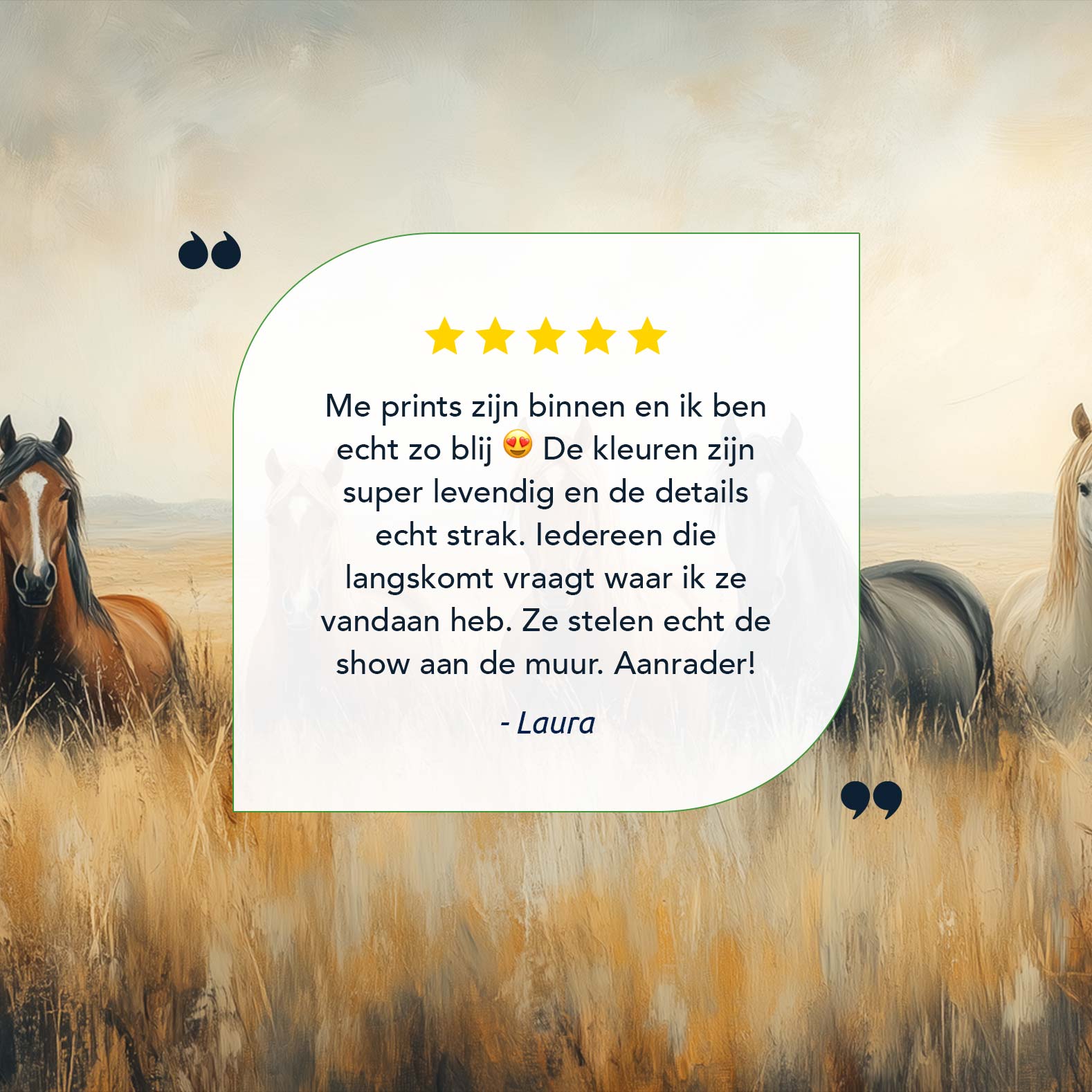 Vredige paarden in gouden gras - Afbeelding 9