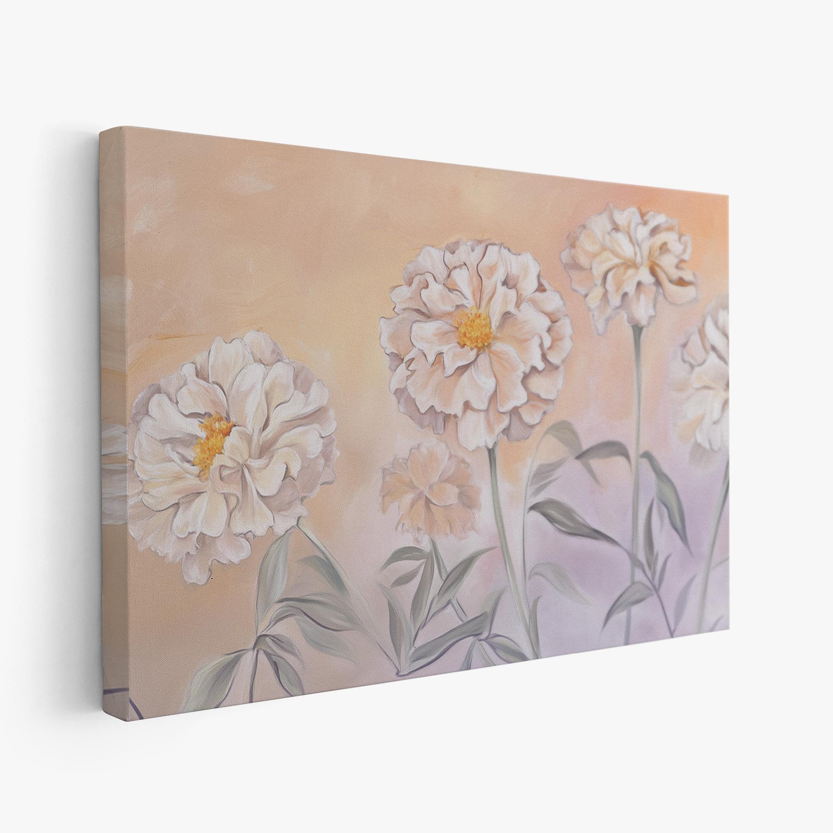 Witte bloemen op roze achtergrond